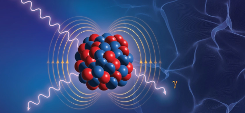Protons and neutrons inside a nucleus
