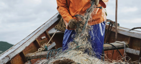 Fisherman and netting