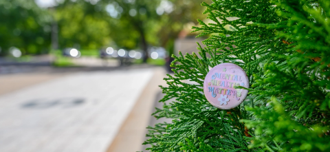 A “Mental Health Matters” button pin rests on a bush beside a road