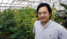Portrait of plant researcher Sheng Yang He standing inside greenhouse