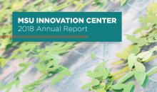 MSU Innovation Center Annual Report 