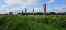 Pasture land with fence post.