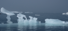 Melting ice floating in ocean