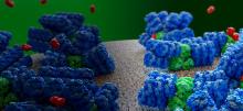 Graphical representation of photosynthesis