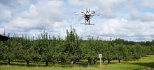 Drone in a field