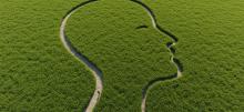 A bird eye view of a head and face looking to the side carved in a large grass field