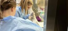 Two students focused working on lab samples wearing lab coats