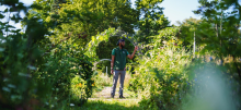 A person stands in a lush, green garden surrounded by tall plants and foliage