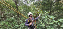 A person zip lining through the Amazon