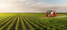 Red tractor in a sunny crop field