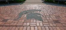 Spartan logo in pavement