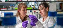 Two scientists in a laboratory