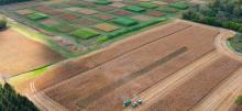 Two tractors in a large farm field