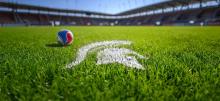 World Cup Spartan Logo on a field