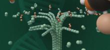 Illustration of Ovarian Cancer cells