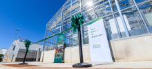 Greenhouse opening