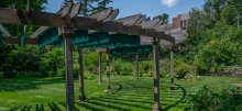 Pavilion in a botanical garden